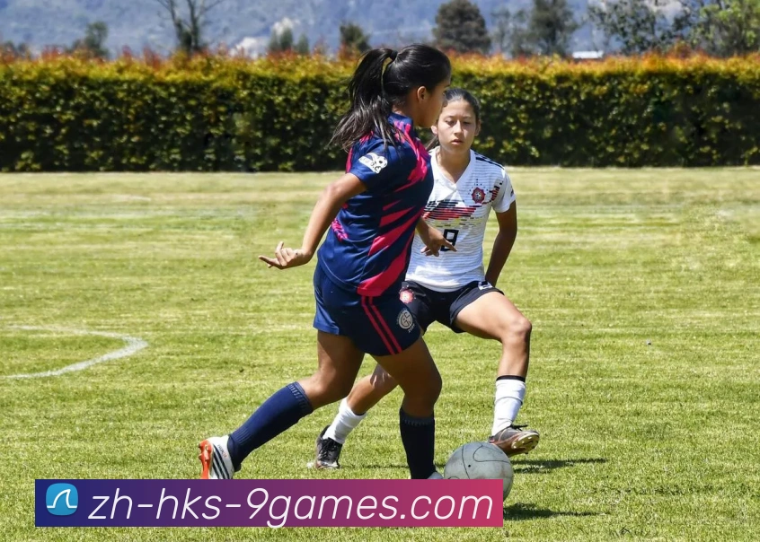 J9九游会官网平台生态图